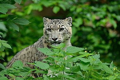 港任发布《异度神剑3》新情报 深入讲解招式（战技）